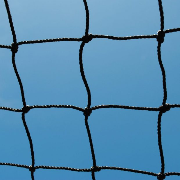 50mm square mesh netting 2mm thick