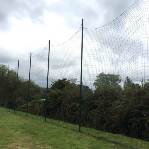 ball stop posts
