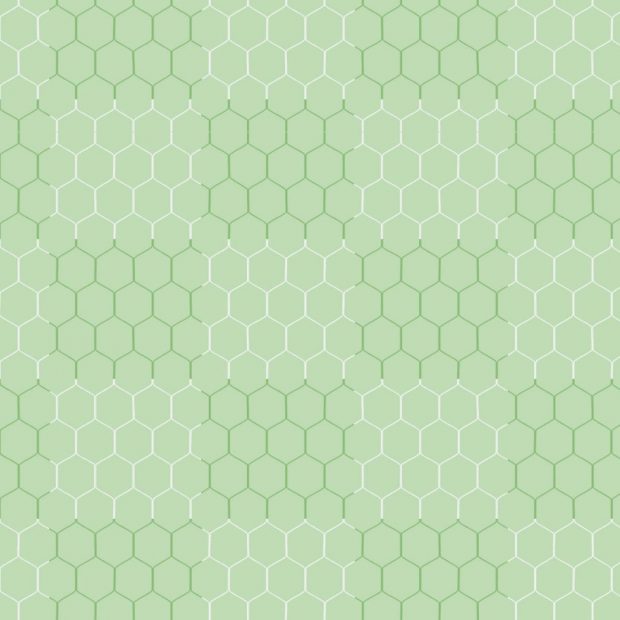 senior hexagonal two colour net