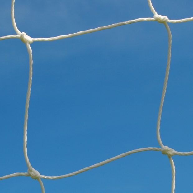 white netting